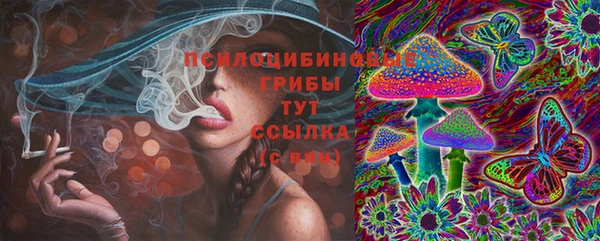 прущие грибы Алзамай
