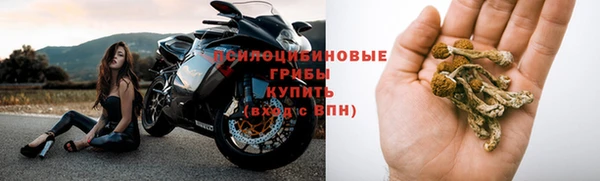 прущие грибы Алзамай