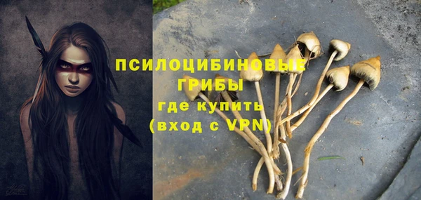 МДПВ Алексин