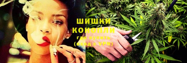 прущие грибы Алзамай