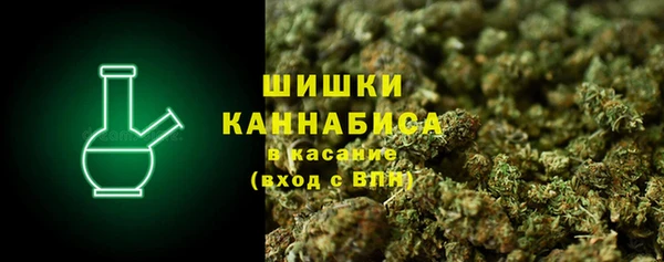 прущие грибы Алзамай