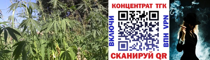 ТГК вейп Сорочинск