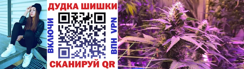 Бошки Шишки семена  Сорочинск 